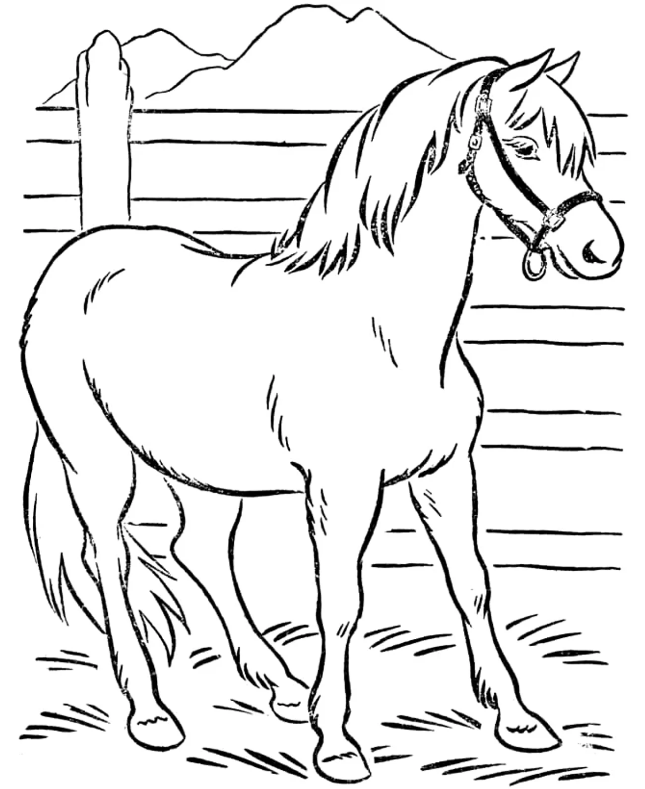 Omalovánka - kůň - 1