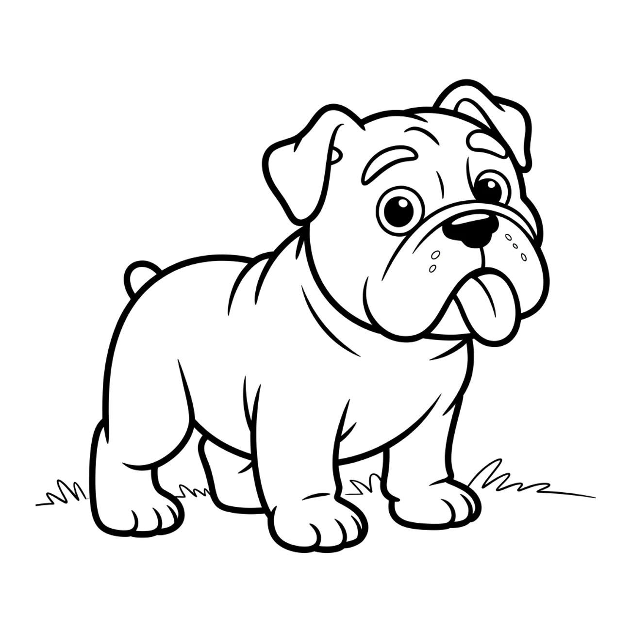 Bulldog stojící