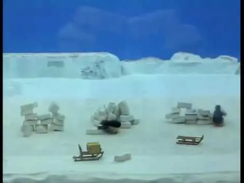 Pingu: Stavba iglú (pohádka)