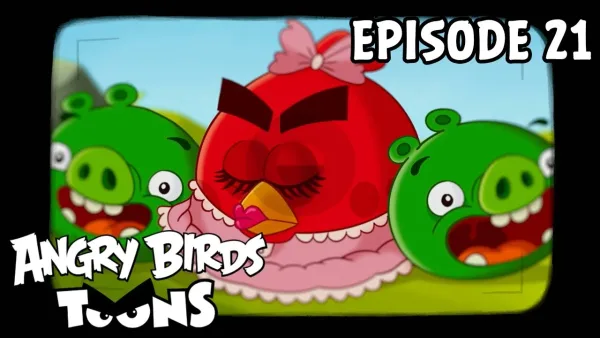 Angry Birds - Angry Birds Toons #21 - Hypnotická prasata