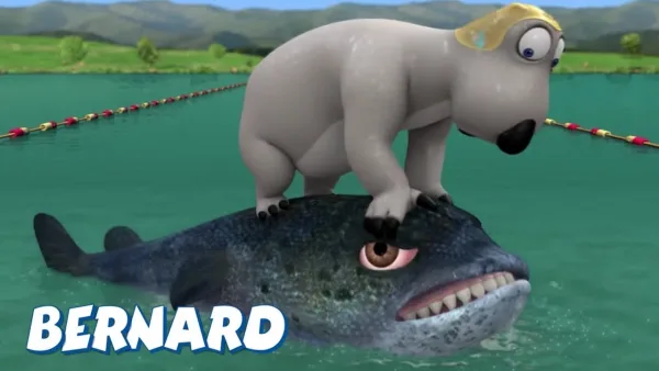 Bernard the Bear - Medvěd Bernard - Triatlon