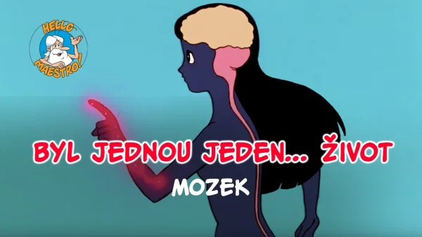 Byl jednou jeden život - Mozek - pohádka