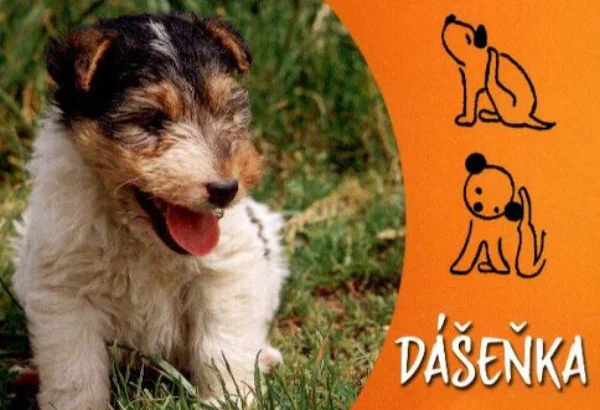 Dášeňka