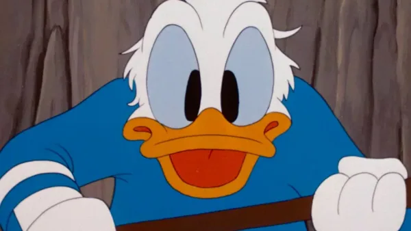 Kačer Donald, Pluto a Mickey - Kačer Donald - Zimní zásoby