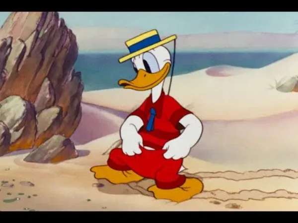 Kačer Donald, Pluto a Mickey - Kačer Donald - plážový piknik