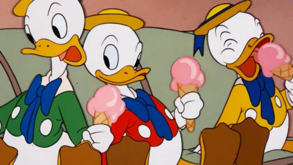 Kačer Donald, Pluto a Mickey - Kačer Donald - Pán kačer