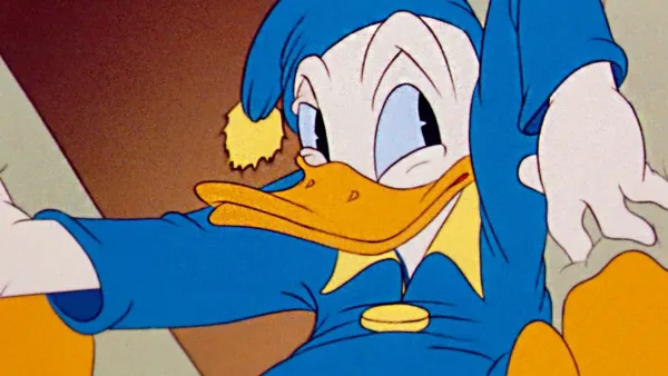 Kačer Donald, Pluto a Mickey - Kačer Donald - spánek