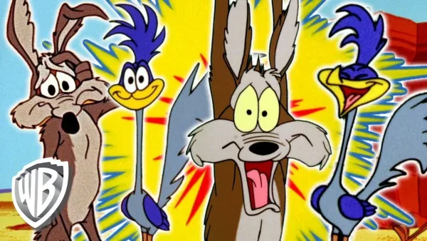 Kojot a Road Runner - Road Runner a Kojot - nejlepší scény