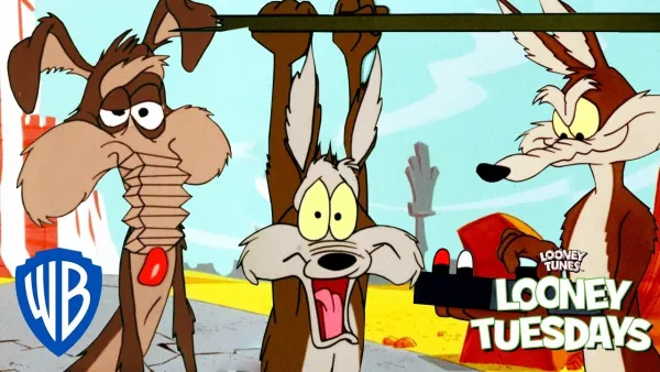 Kojot a Road Runner - Kojot a Road Runner